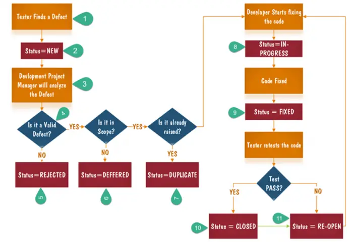 Bug life cycle in software testing